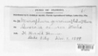Image Associated With the Occurence